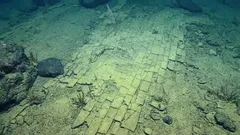 Die „gelbe Ziegelstraße“ in den Tiefen des Ozeans sorgt für Staunen – die vorgeschlagene Erklärung vermittelt für einen Moment den Eindruck, dass der Meeresboden etwas völlig Neues sei.